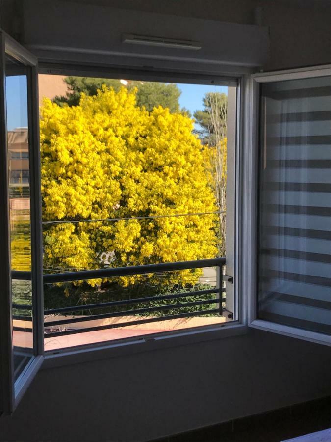 Appart' Au Port Apartment Frejus Bagian luar foto